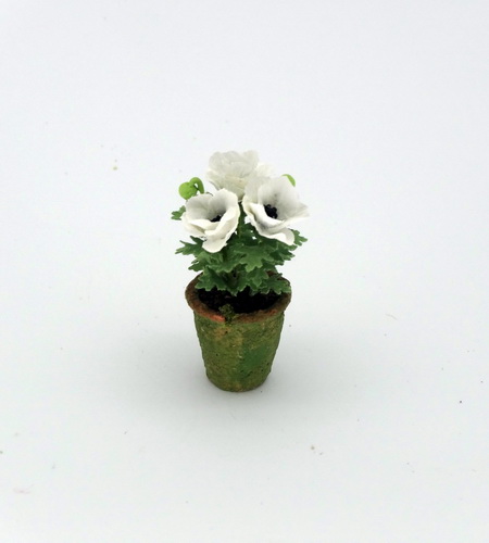 White Poppies (image for) White Poppies